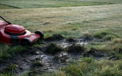 Can You Mow a Wet Lawn? Safety, Quality, and Timing Guide