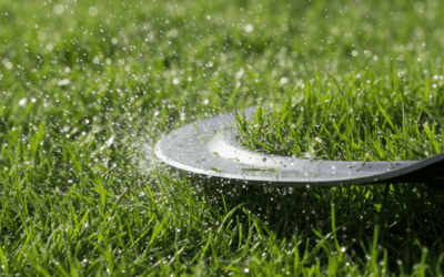 Can I Mow the Lawn When Wet? Risks, Effects & What to Do Instead