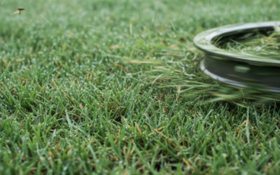 Can You Mow the Lawn When It’s Wet? (Safety, Equipment, and Lawn Health Guide)