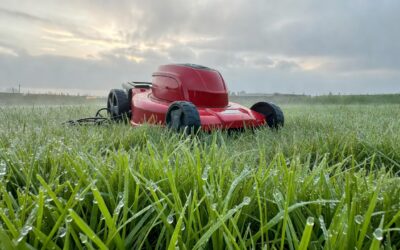 Can You Cut Wet Grass With an Electric Lawn Mower? (Safety Risks & What to Do Instead)