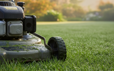 Can You Mow a Wet Lawn? (Safety, Risks, and Best Practices)