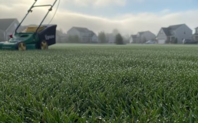 Can You Mow Wet Grass? Safety, Cut Quality, and Lawn Health Explained