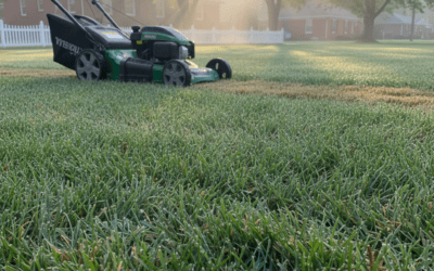 Can You Mow the Lawn After Rain? (Risks, Timing, and Best Practices)