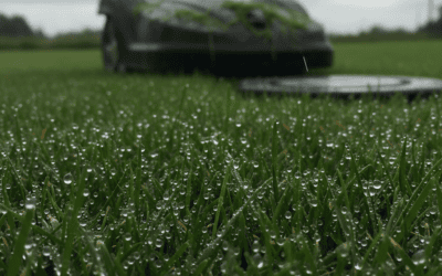 Can You Mow the Lawn in the Rain? Safety, Risks & Best Practices