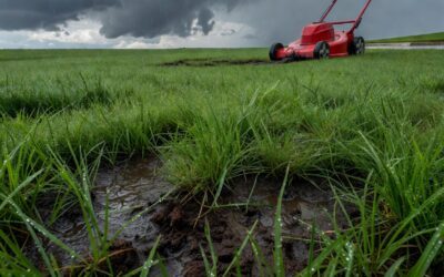 Can You Mow the Lawn When It’s Wet? Risks and Best Practices