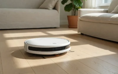 Can Robot Vacuums Cross High Thresholds and Thick Rugs?