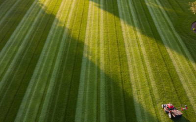 How Do You Mow Stripes in a Lawn? (Step-by-Step Guide)