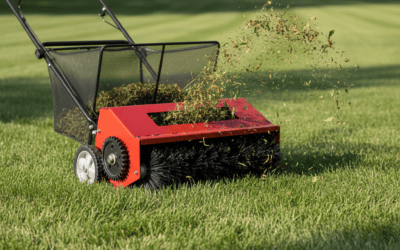How Does a Lawn Sweeper Work? (Mechanism, Types & Key Differences)