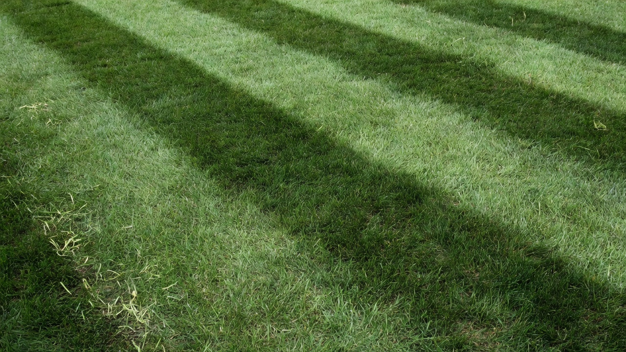 How Much Does Lawn Mowing Cost? (Pricing by Size, Frequency & Region) Overhead view of freshly mowed lawn with neat alternating green stripes