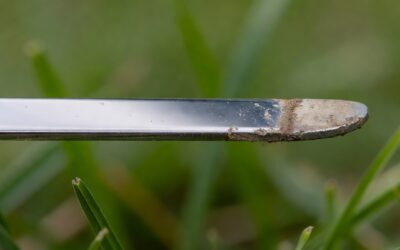 How Often Should You Sharpen Lawn Mower Blades? A Maintenance Guide
