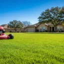 How Often Should You Mow Your Lawn in Texas?