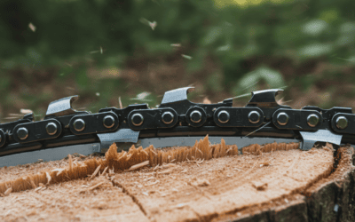How Often Should You Sharpen a Chainsaw Chain? (Schedule & Signs)