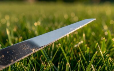 How Often Should You Sharpen Mower Blades? (Frequency Guide & Key Factors)