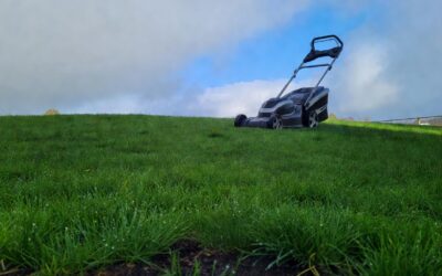 How Soon After It Rains Can You Mow the Lawn? (Timing Guide & Best Practices)