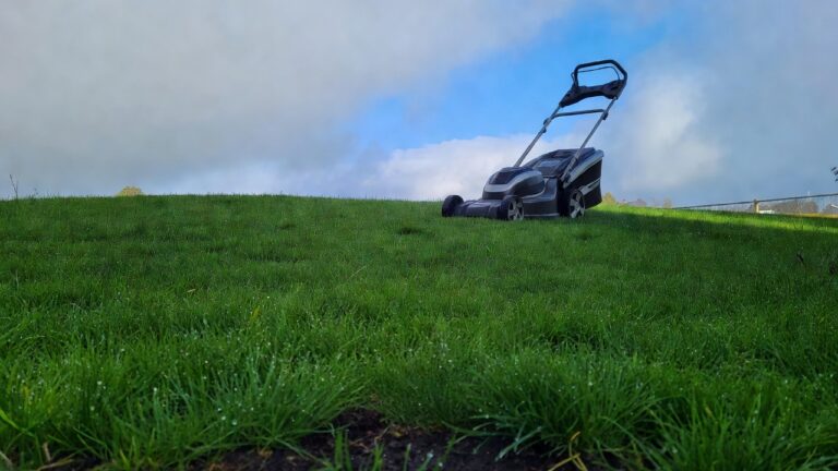 How Soon After It Rains Can You Mow the Lawn? (Timing Guide & Best Practices)
