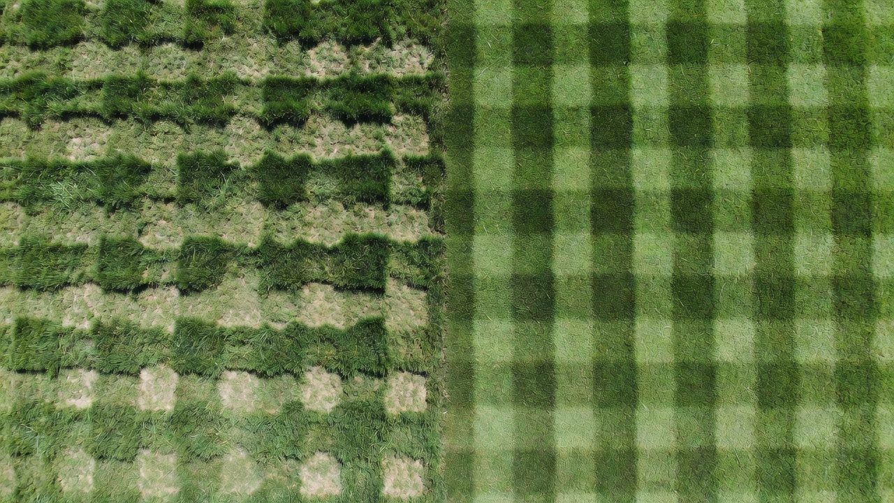 Comparison of uneven cutting pattern from unbalanced blade versus even cutting from balanced blade