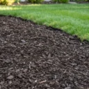 How to Create a Mulch Bed: A Complete Guide