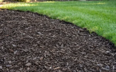 How to Create a Mulch Bed: A Complete Guide