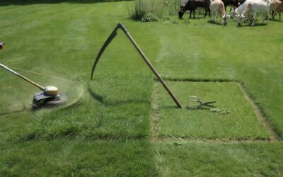 How Can You Cut Grass Without a Lawn Mower? (Complete Guide to Alternative Methods)