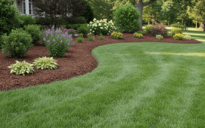 How to Edge Mulch Beds: Techniques, Tools, and Best Practices