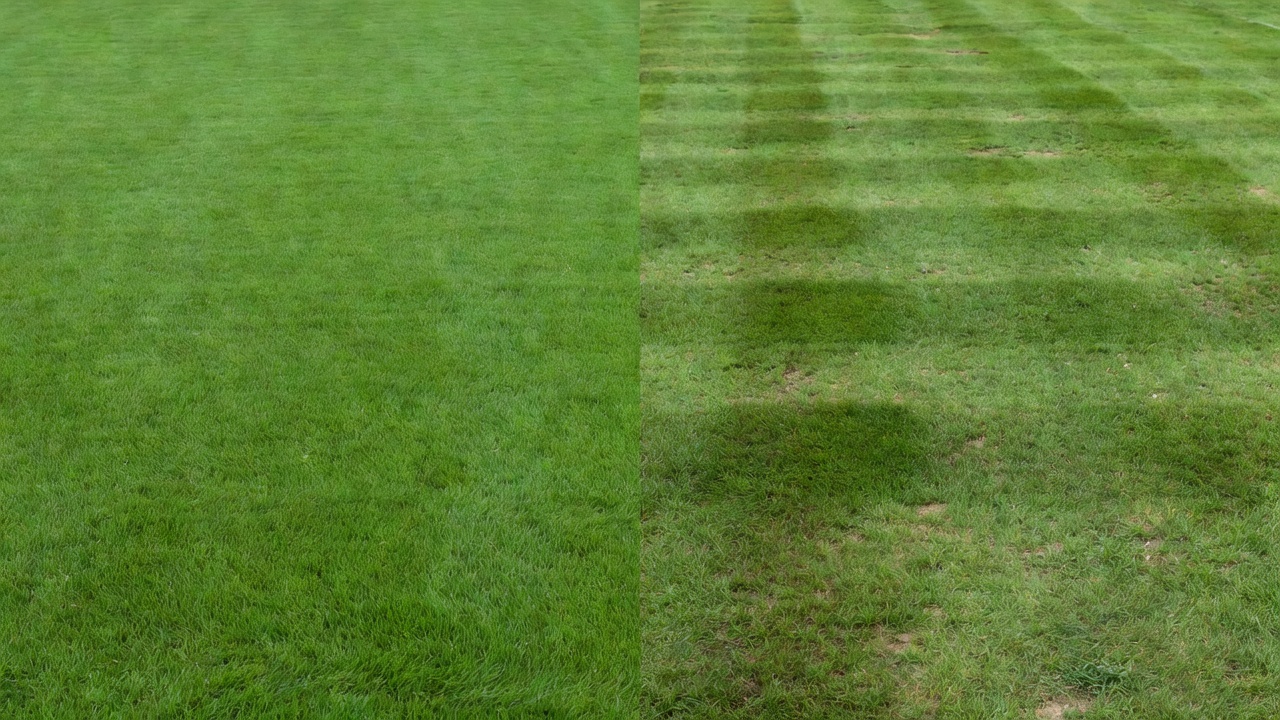 How to Level a Lawn Mower Deck: Step-by-Step Guide & Key Factors Side-by-side lawn comparison showing even cutting on the left and uneven striping with scalped patches on the right.