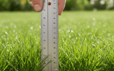 How to Measure Grass Height: A Simple Guide for Lawns and Pastures