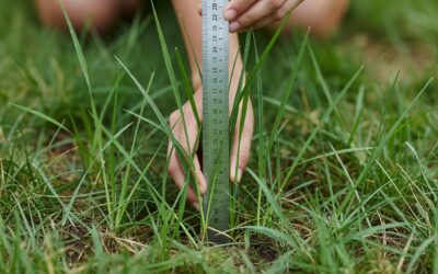 How Do You Measure Lawn Height? (Methods, Tools & Best Practices)
