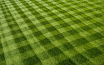 How to Mow Lawn Pattern