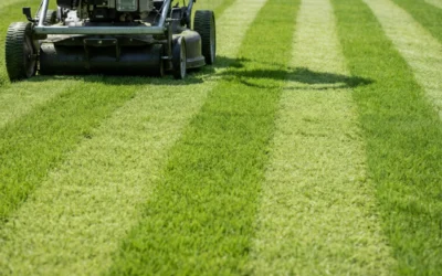 How to Mow a Lawn with Stripes