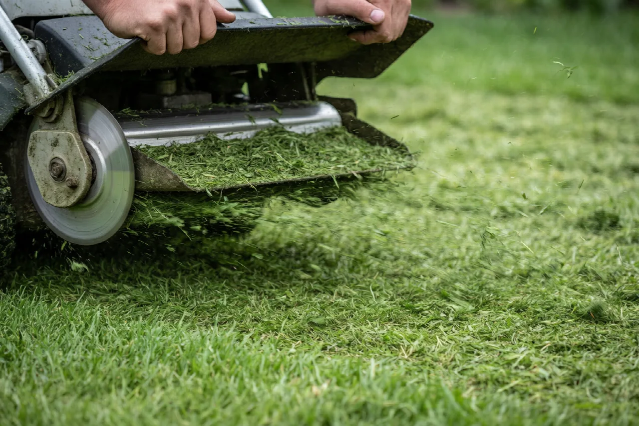 How to Mow Lawn When Wet Lawn mower with raised deck cutting damp grass on an overcast day