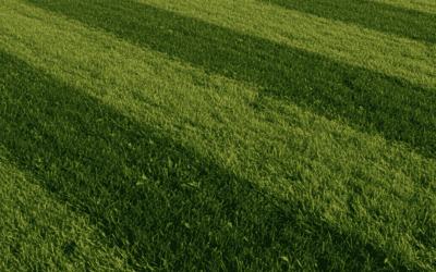 How to Mow Stripes in Your Lawn: A Step-by-Step Guide