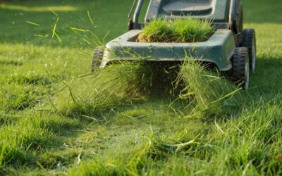 How Do You Mulch a Lawn? (Step-by-Step Mulch Mowing Guide)