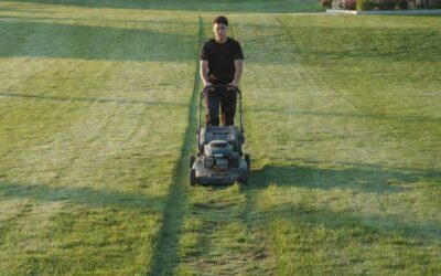 How Do You Use a Push Mower? A Step-by-Step Beginner’s Guide