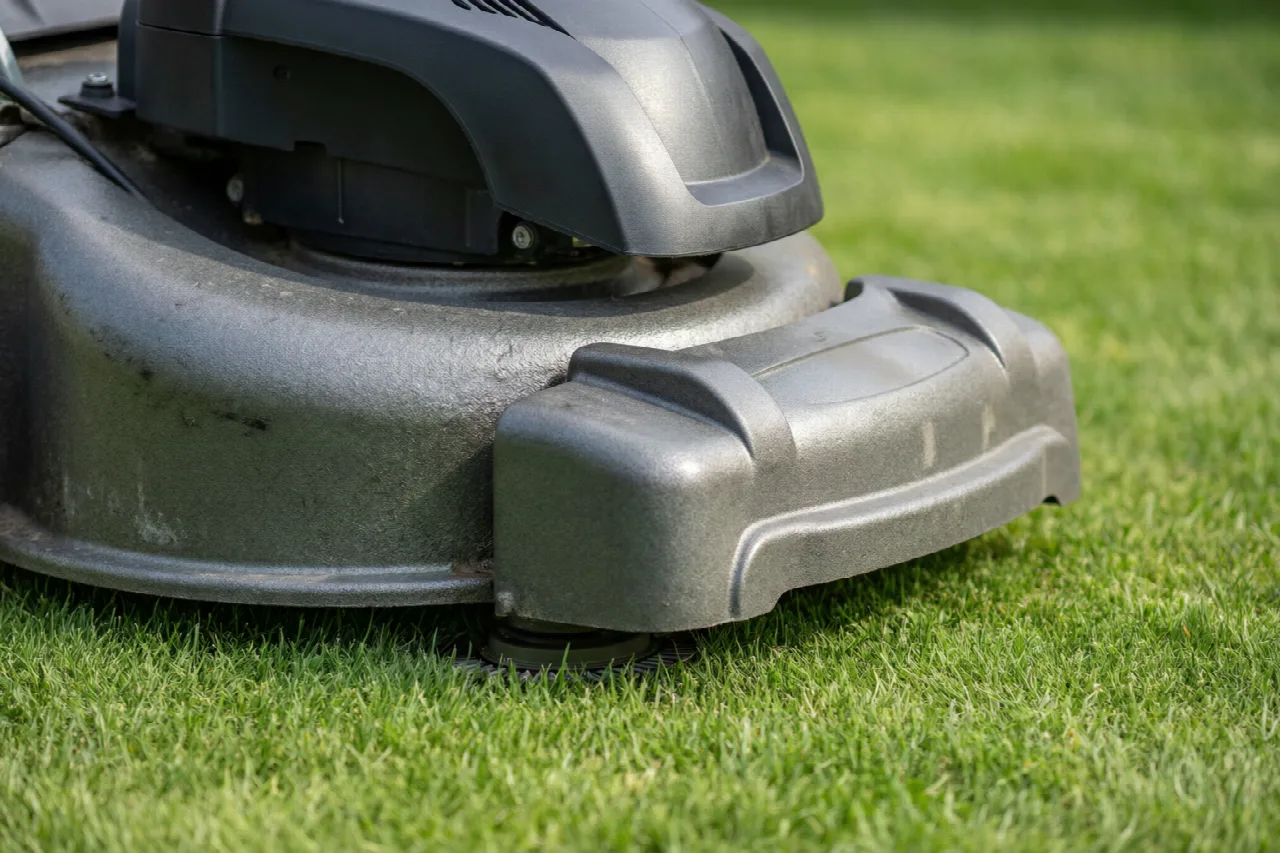 Is DEWALT Good Lawn Mower? Close-up of a cordless mower's steel cutting deck on a lawn