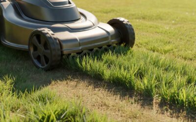 Is It OK to Mow a Wet Lawn? What You Need to Know