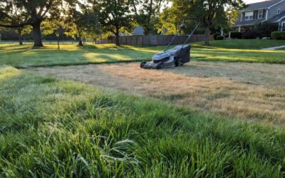 Should You Mow a Wet Lawn? Why You Shouldn’t and When It’s Safe