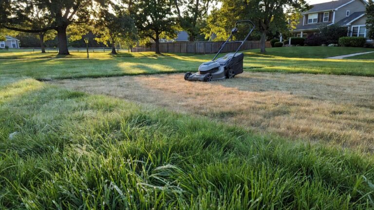 Should You Mow a Wet Lawn? Why You Shouldn’t and When It’s Safe