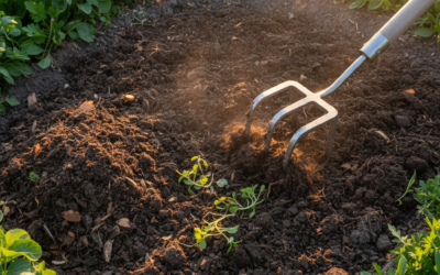 What Do Cultivators Do? (Complete Guide to Functions and Applications)