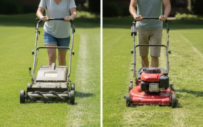 What Is a Good Push Mower? (Types, Features & Buyer Guide)