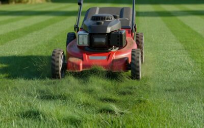 What Is a Mulch Lawn Mower? How It Works and Whether You Need One