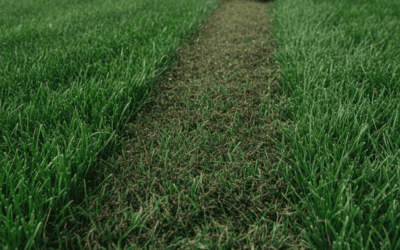 What Is a Mulching Mower? How It Works and Why It Matters