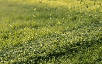 What Is a Mulching Lawn Mower? How It Works & Benefits Explained