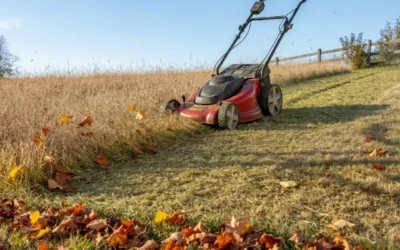 When Is It Too Late to Mow the Lawn?