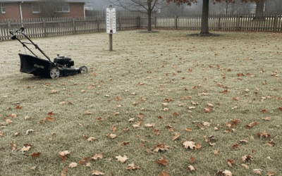When Should I Stop Mowing My Lawn? (Seasonal Guide & Key Indicators)