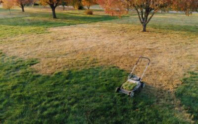 When to Stop Mowing Your Lawn in Fall: Timing by Grass Type and Region