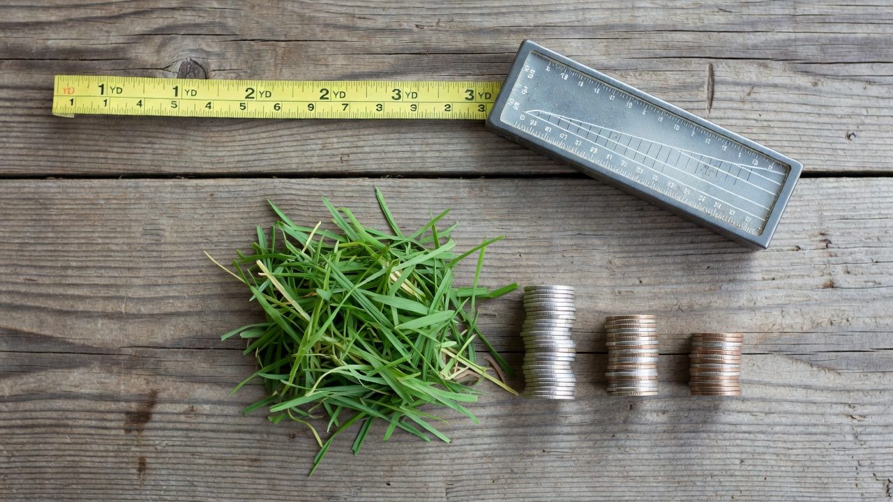 Which Lawn Mower Is Better? How to Compare Models and Choose the Right One Overhead flat-lay of yard measurement tape, slope gauge, grass clippings, and budget coin stacks representing mower decision variables